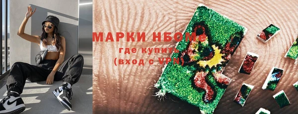 ГАЛЛЮЦИНОГЕННЫЕ ГРИБЫ Пестово