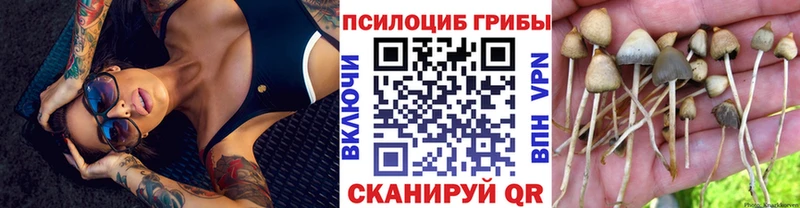 Галлюциногенные грибы прущие грибы  Калач-на-Дону 